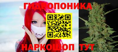 амф Краснознаменск