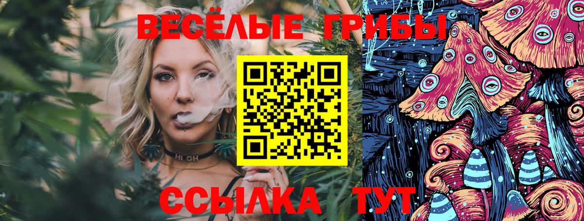Галлюциногенные грибы MAGIC MUSHROOMS  Вход с VPN  Звенигород 